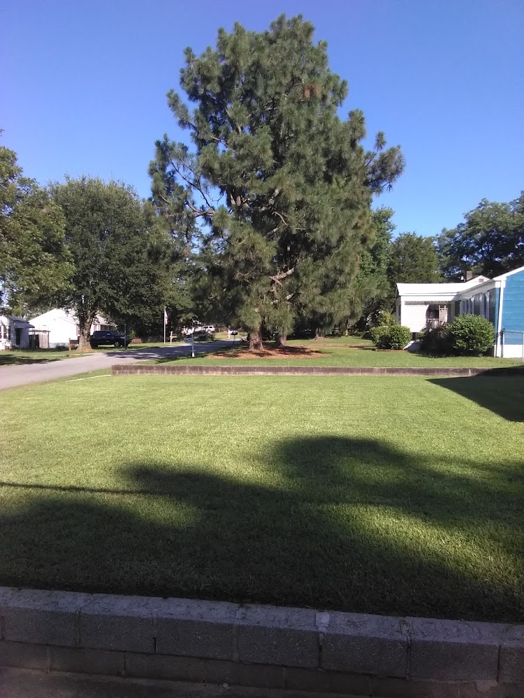 Reno Boles Junior yard maintenance