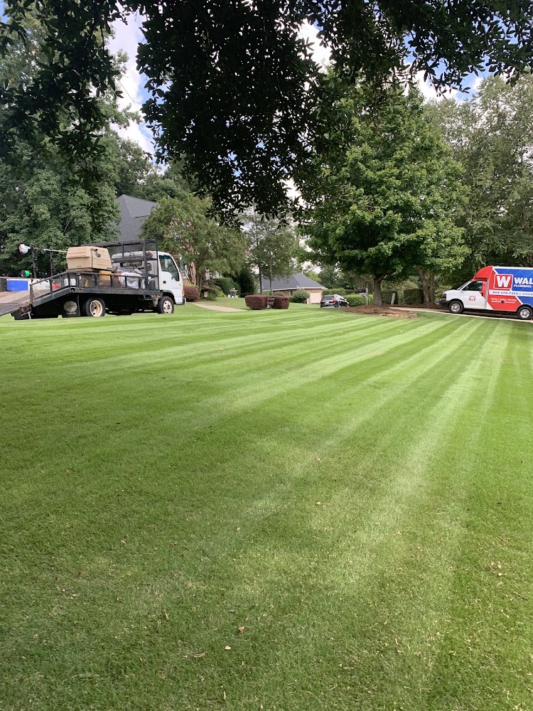 Distinct Landscape Management LLC