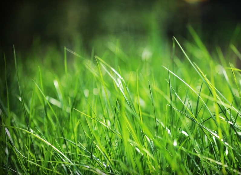 SharpEdge Landscape llc